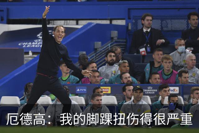 厄德高：我的脚踝扭伤得很严重